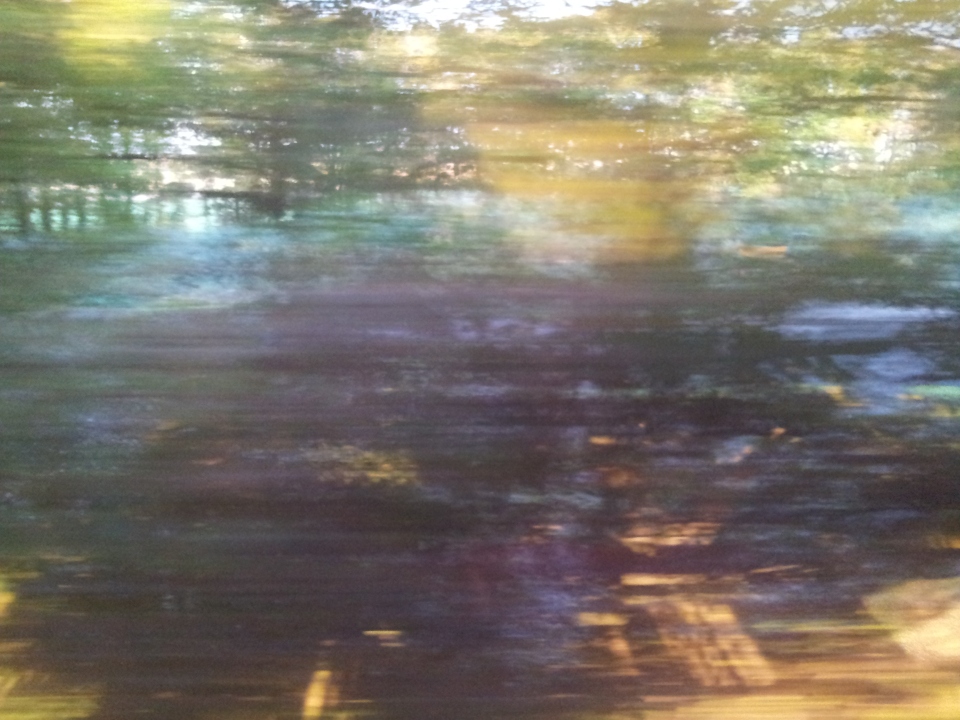 I like this, although my partner think's it's confusing. It's a shot of the bank near Micheldeva, taken with a phone, straight through the train window, so the trees and their reflection stay sharp and the rails and vegetation blur. 